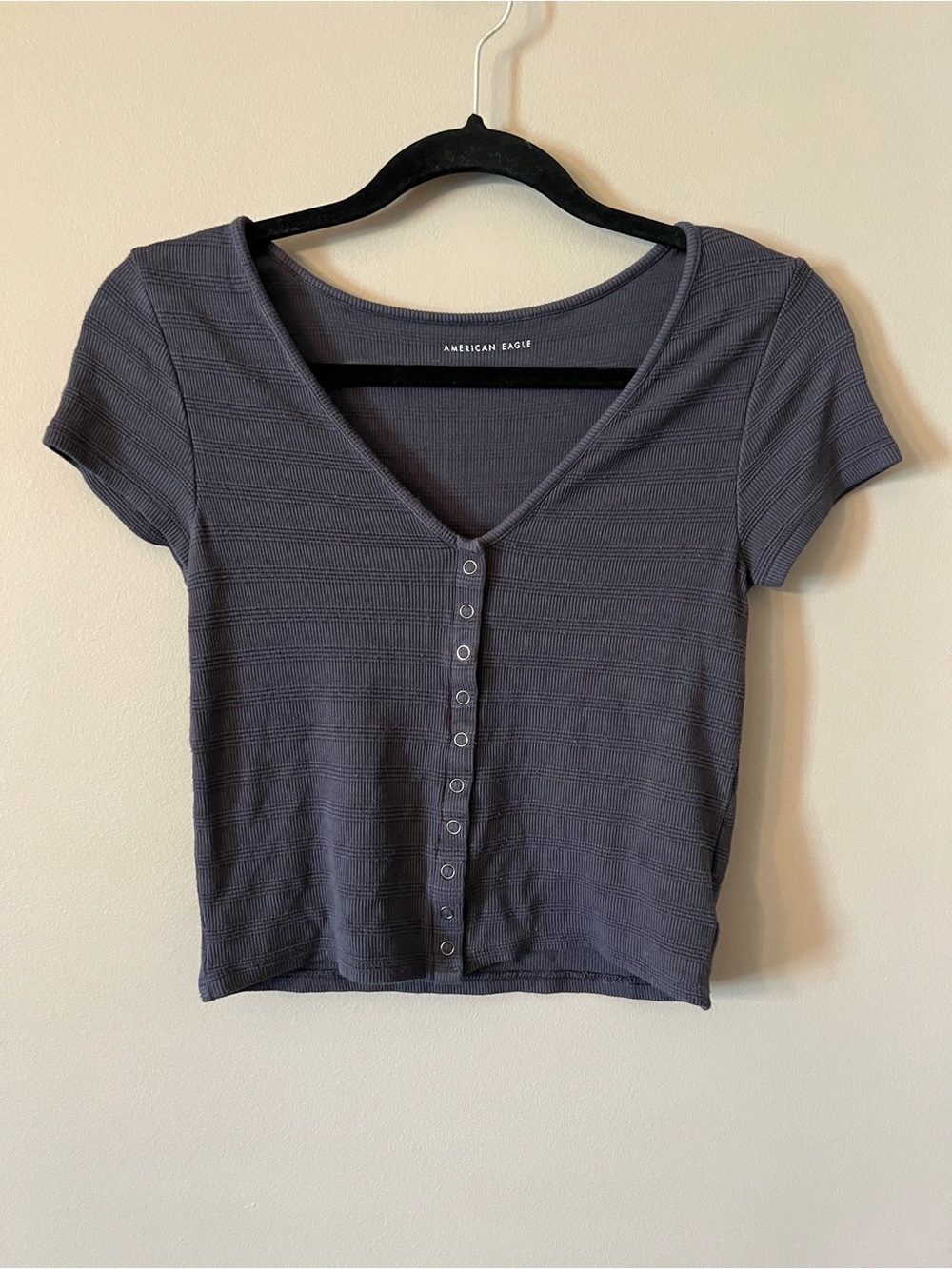 American Eagle Outfitters Gray Ribbed V-Neck Snap-Front Crop Top